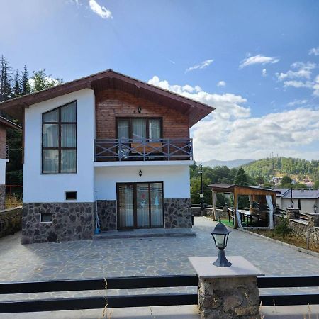 Villa In Mountains Bakuriani Exterior photo