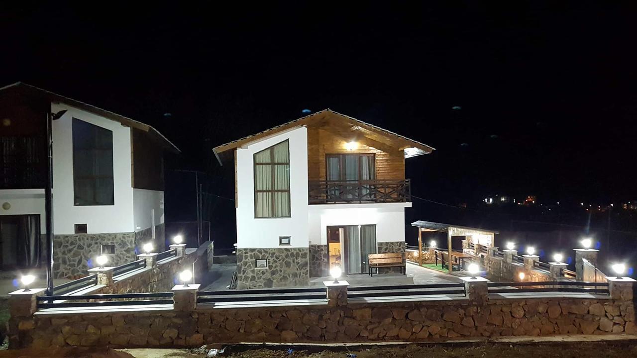 Villa In Mountains Bakuriani Exterior photo
