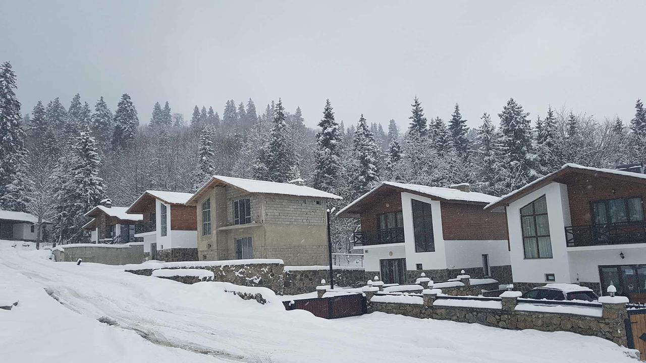 Villa In Mountains Bakuriani Exterior photo