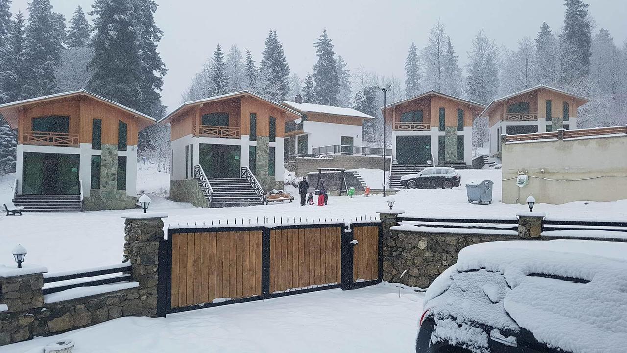 Villa In Mountains Bakuriani Exterior photo