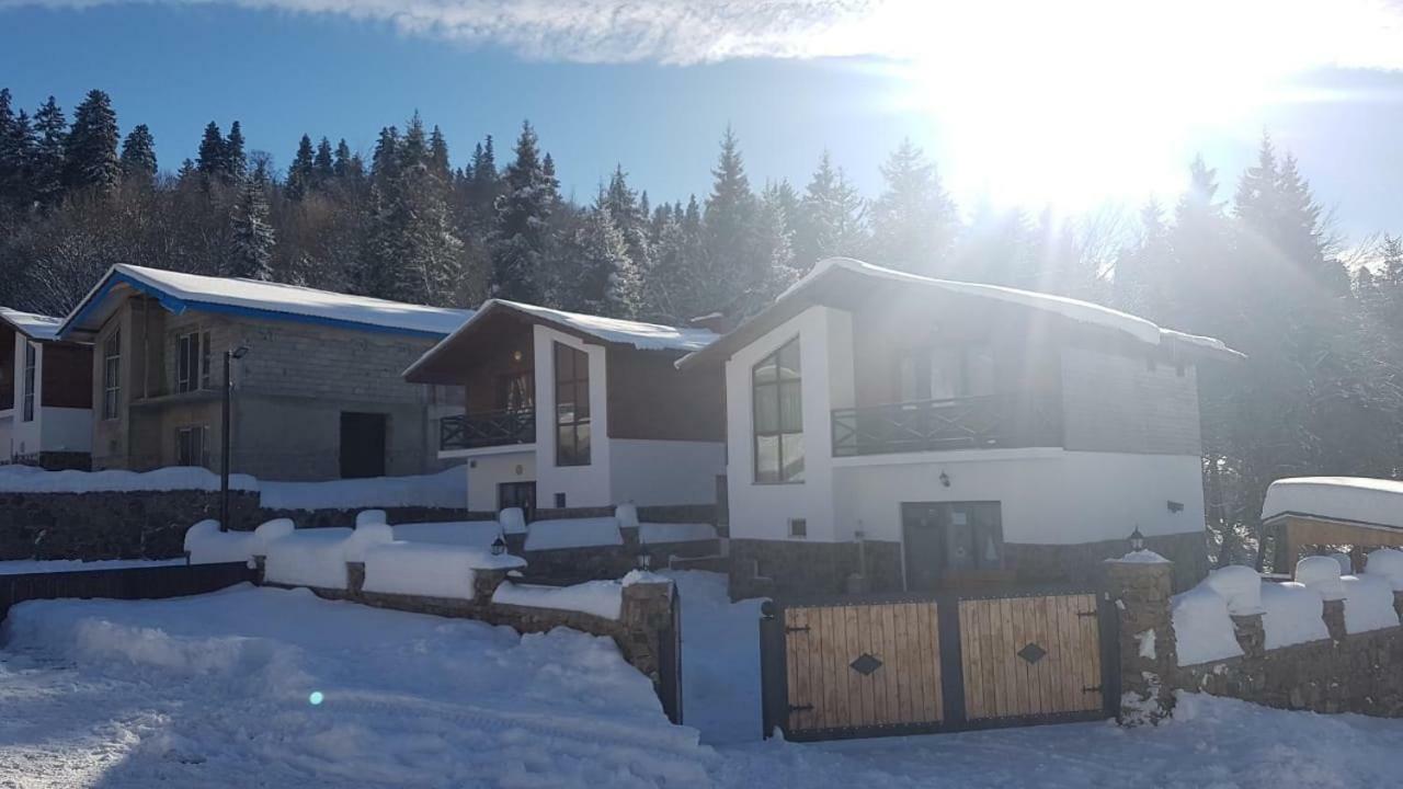 Villa In Mountains Bakuriani Exterior photo