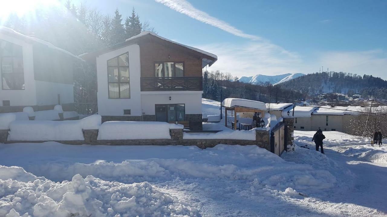 Villa In Mountains Bakuriani Exterior photo